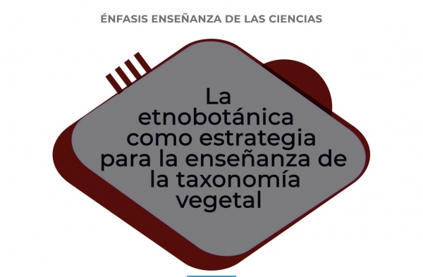 Sustentaci&oacute;n maestr&iacute;a