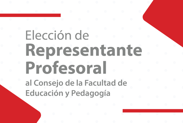 Candidatos Representaci&oacute;n Profesoral