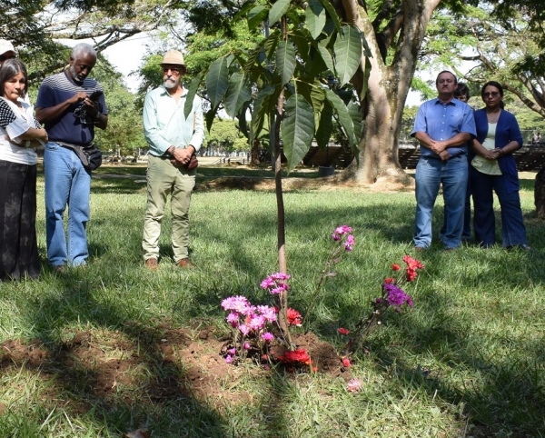 Homenaje a Nohram&eacute;rica