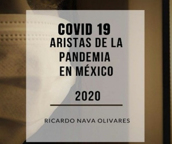 Aristas de la pandemia en M&eacute;xico
