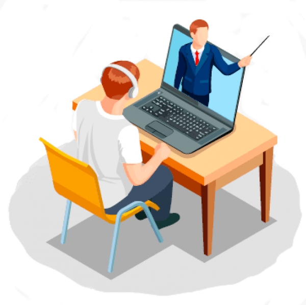 Electivas complementarias ofertadas