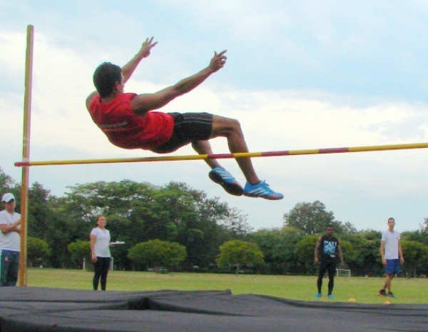 Licenciatura en proceso de Acreditaci&oacute;n